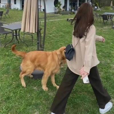 上流生活